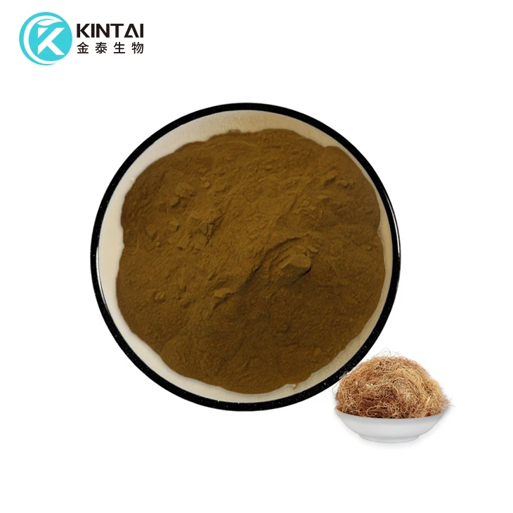 Serbuk Ekstrak Cornsilk