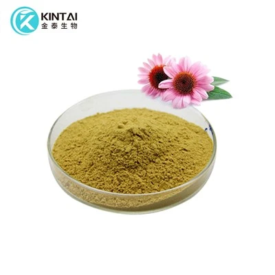 Serbuk Ekstrak Echinacea Purpurea