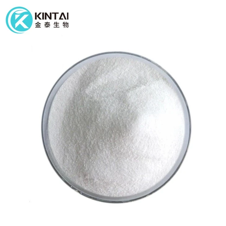 Serbuk Carnitine L Pukal