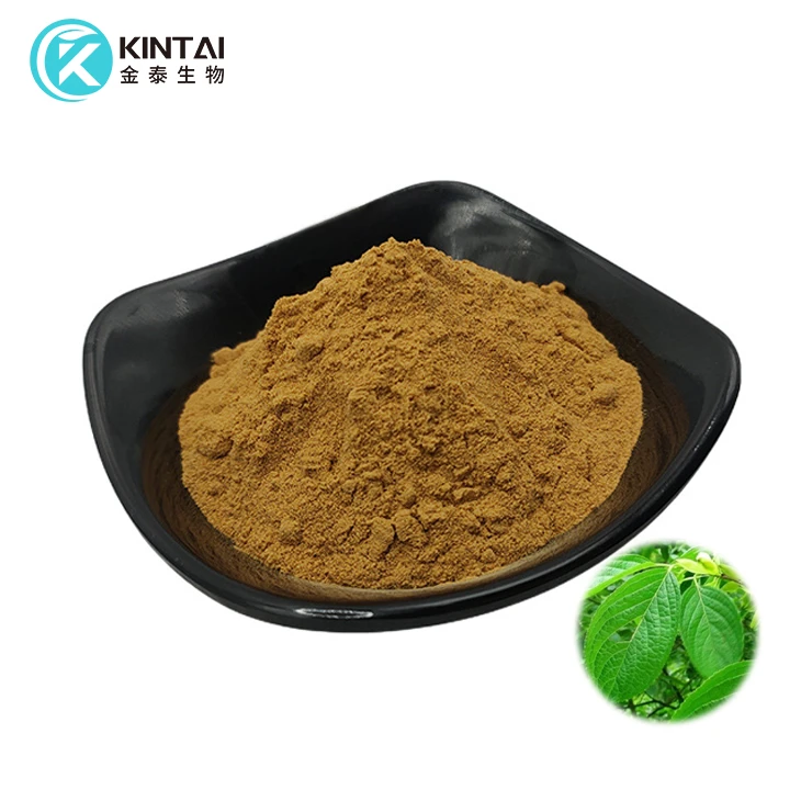 Ekstrak Daun/Kulit Eucommia