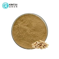 Serbuk Ekstrak Astragalus