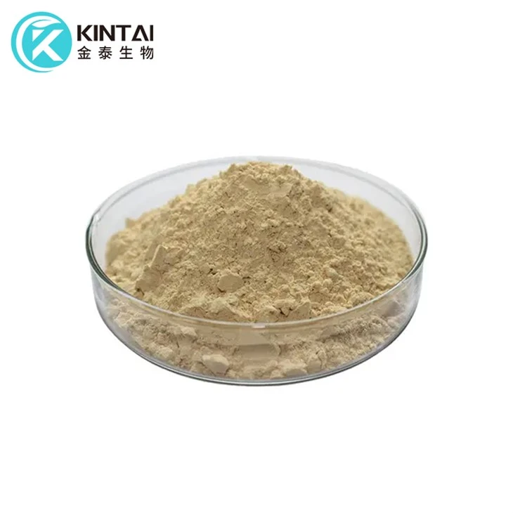 Serbuk Chitosan Oligosakarida