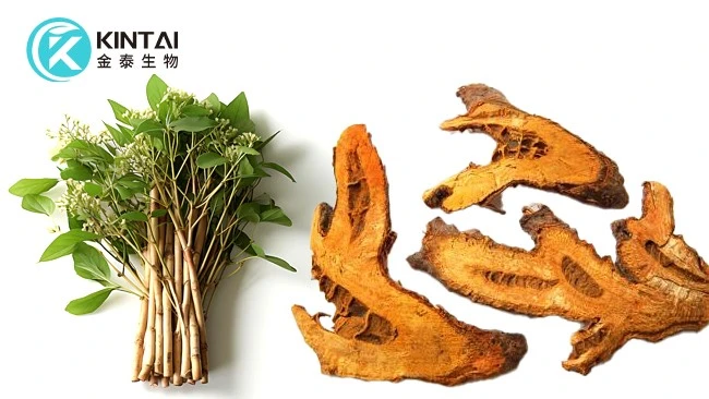 Natural Source Of Polydatin Natural Source Of Polydatin